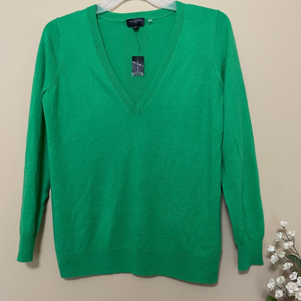 ⬇️The Limited v-neck sweater Petite